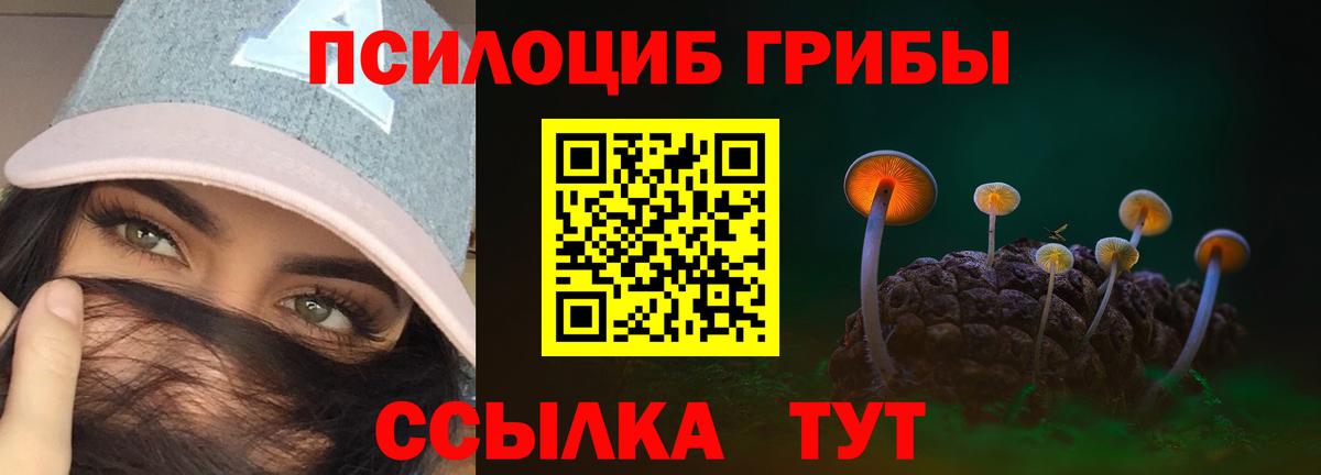 Вольск  Галлюциногенные грибы ЛСД  Вход с VPN  Псилоцибиновые грибы Psilocybine cubensis 