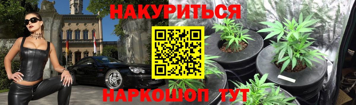Вольск  Марихуана тримм  Конопля сатива  Вход с VPN 